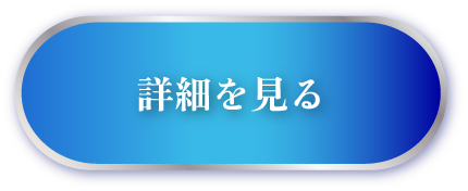 詳細を見る